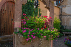 Niedermorschwihr003