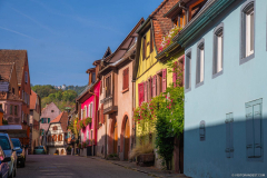 Niedermorschwihr013