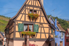 Niedermorschwihr015