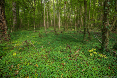 OuvrageGalgenberg002
