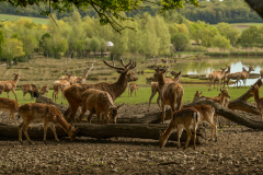 ParcSainteCroix017