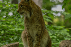 ParcSainteCroix020