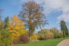 ParcSimonAutomne002