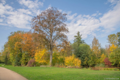 ParcSimonAutomne003