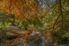 ParcSimonAutomne007