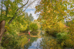 ParcSimonAutomne008