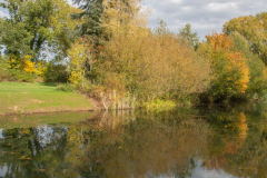 ParcSimonAutomne011