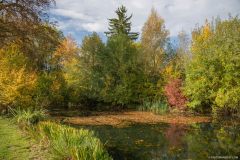 ParcSimonAutomne012