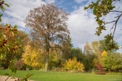 ParcSimonAutomne013