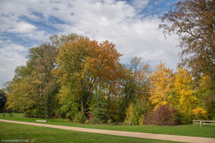 ParcSimonAutomne014