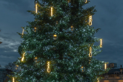 NancyChristmas2022f
