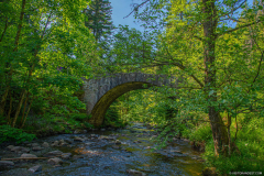 PontDesFeesEte006