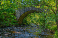 PontDesFeesEte007
