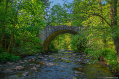 PontDesFeesEte008