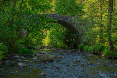 PontDesFeesEte011