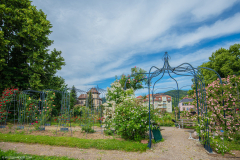RoseraieSaverne003