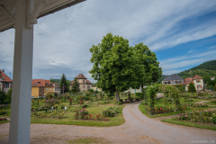 RoseraieSaverne006