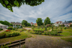 RoseraieSaverne014