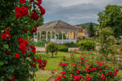 RoseraieSaverne016