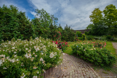 RoseraieSaverne017