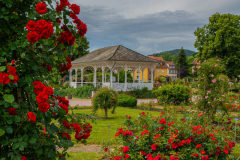 RoseraieSaverne019