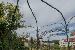RoseraieSaverne027