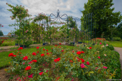 RoseraieSaverne028