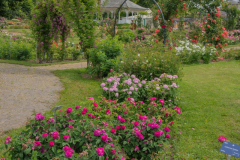 RoseraieSaverne034