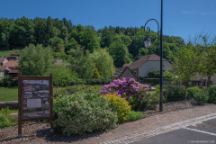 SaintQuirin013