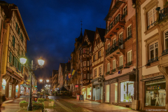 SavernebyNight006