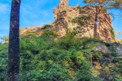 Schwartzenbourg007