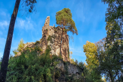Schwartzenbourg008