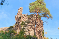Schwartzenbourg009