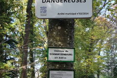 Schwartzenbourg010