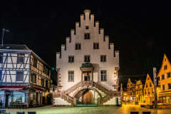 SelestatbyNight006