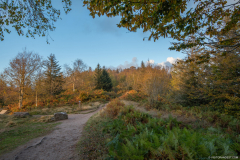 TempleduDononAutomne001