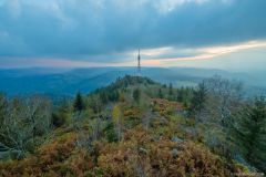 TempleduDononAutomne009