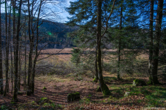 TourbieredeMachais003