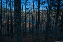 TourbieredeMachais004