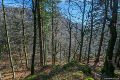 TourbieredeMachais005