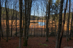 TourbieredeMachais006