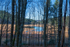 TourbieredeMachais008