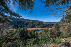 TourbieredeMachais015