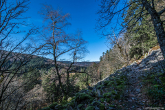 TourbieredeMachais016