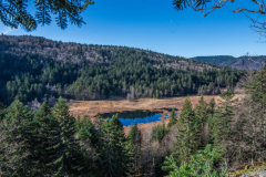 TourbieredeMachais017