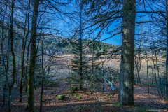 TourbieredeMachais018