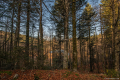 TourbieredeMachais019