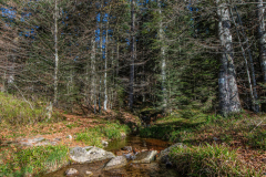 TourbieredeMachais021