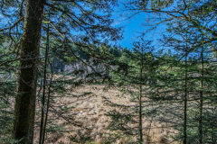 TourbieredeMachais022
