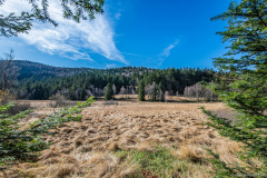 TourbieredeMachais026